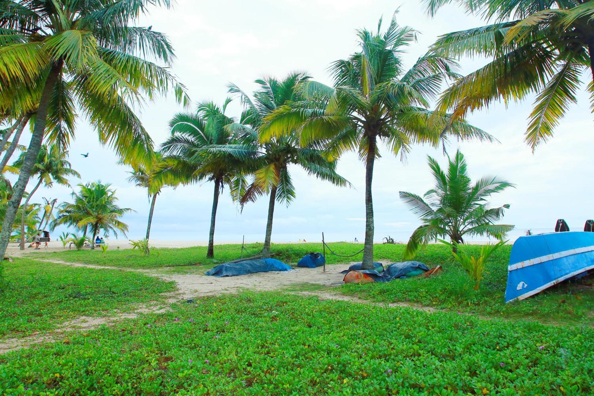 Marari Nest Beach Homestay Mararikulam Luaran gambar